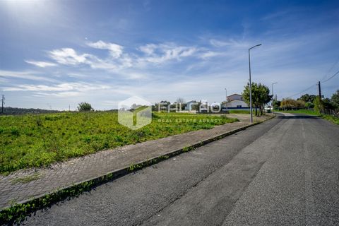 Terra a Cartaxo, Santarem, Cartaxo - € 30.000 | Ref: FR136 - foto 13