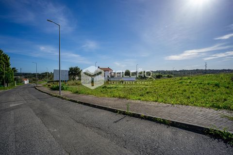 Terra a Cartaxo, Santarem, Cartaxo - € 30.000 | Ref: FR136 - foto 14