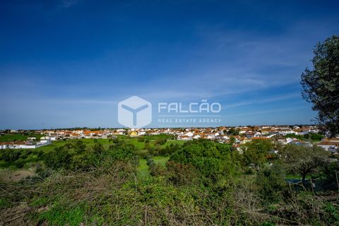 Terra a Cartaxo, Santarem, Cartaxo - € 30.000 | Ref: FR136 - foto 15