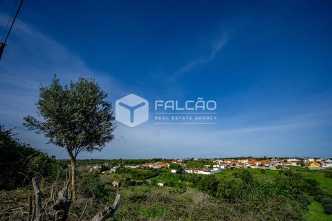 Terra a Cartaxo, Santarem, Cartaxo - € 30.000 | Ref: FR136 - foto 17