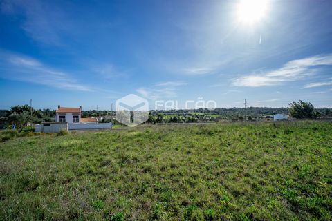 Terra a Cartaxo, Santarem, Cartaxo - € 30.000 | Ref: FR136 - foto 18