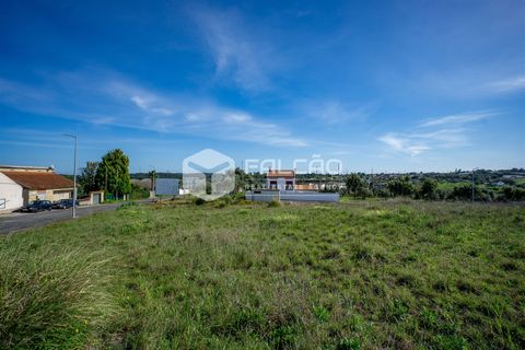 Terra a Cartaxo, Santarem, Cartaxo - € 30.000 | Ref: FR136 - foto 19