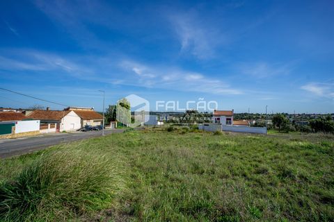 Terra a Cartaxo, Santarem, Cartaxo - € 30.000 | Ref: FR136 - foto 20