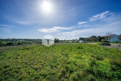 Terra a Cartaxo, Santarem, Cartaxo - € 30.000 | Ref: FR136 - foto 21