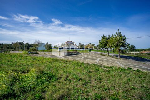 Terra a Cartaxo, Santarem, Cartaxo - € 30.000 | Ref: FR136 - foto 22