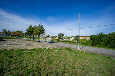 Terra a Cartaxo, Santarem, Cartaxo - € 30.000 | Ref: FR136 - foto 23