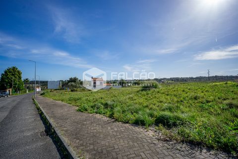 Terra a Cartaxo, Santarem, Cartaxo - € 30.000 | Ref: FR136 - foto 24