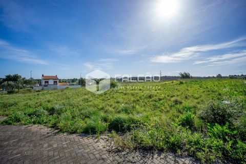 Terra a Cartaxo, Santarem, Cartaxo - € 30.000 | Ref: FR136 - foto 25
