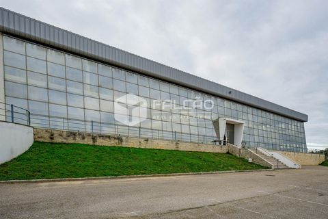 Villa a Santarem, Santarem, Santarem - € 1.900.000 | Ref: FR162 - foto 2