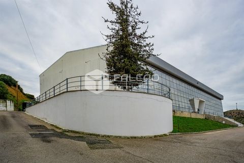 Villa a Santarem, Santarem, Santarem - € 1.900.000 | Ref: FR162 - foto 3