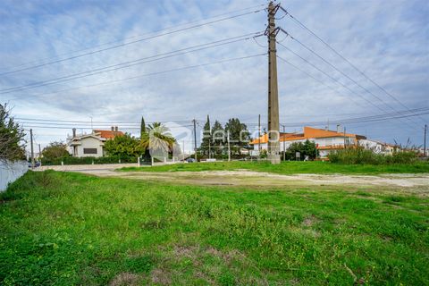 Tomt i Santarem, Santarem, Santarem - € 100 000 | Ref: FR200 - foto 3
