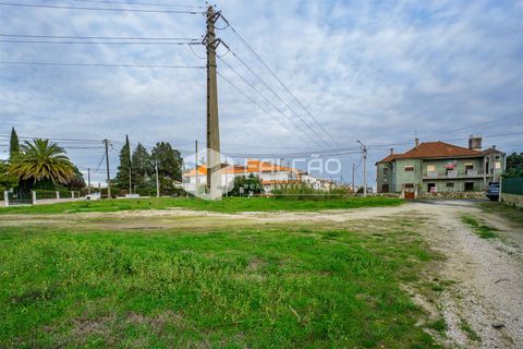 Tomt i Santarem, Santarem, Santarem - € 100 000 | Ref: FR200 - foto 4