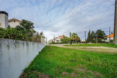 Tomt i Santarem, Santarem, Santarem - € 100 000 | Ref: FR200 - foto 5