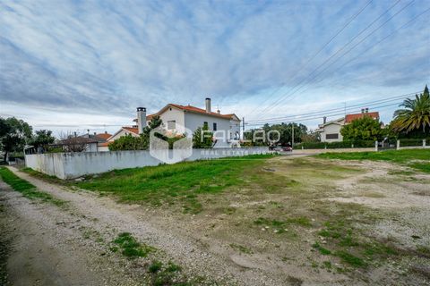 Tomt i Santarem, Santarem, Santarem - € 100 000 | Ref: FR200 - foto 6