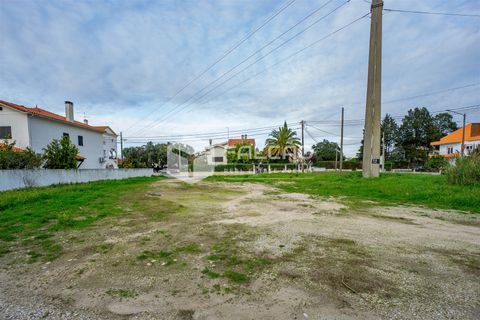 Tomt i Santarem, Santarem, Santarem - € 100 000 | Ref: FR200 - foto 7