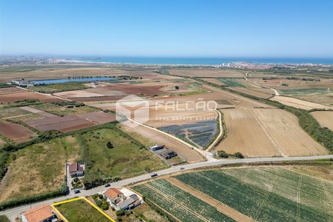 Helårsgrund i Peniche, Leiria, Peniche - € 160.000 | Ref: FR282 - foto 6