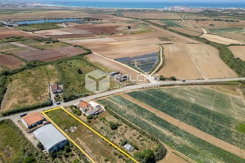Helårsgrund i Peniche, Leiria, Peniche - € 160.000 | Ref: FR282 - foto 7