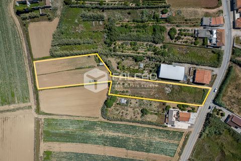 Helårsgrund i Peniche, Leiria, Peniche - € 160.000 | Ref: FR282 - foto 1