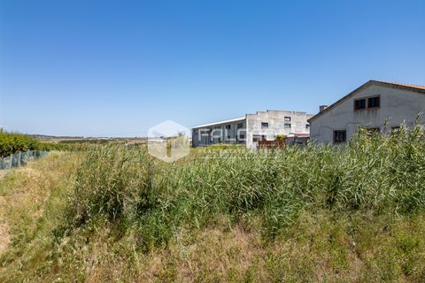 Helårsgrund i Peniche, Leiria, Peniche - € 160.000 | Ref: FR282 - foto 14