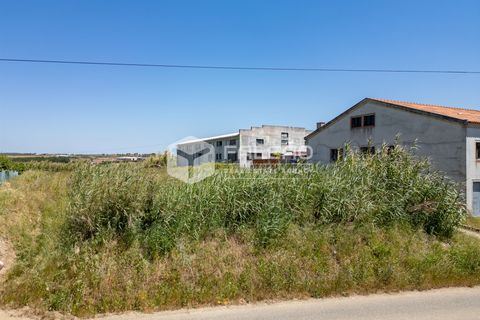 Helårsgrund i Peniche, Leiria, Peniche - € 160.000 | Ref: FR282 - foto 15