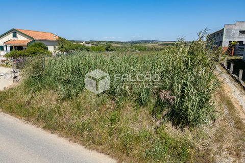 Helårsgrund i Peniche, Leiria, Peniche - € 160.000 | Ref: FR282 - foto 16