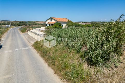 Helårsgrund i Peniche, Leiria, Peniche - € 160.000 | Ref: FR282 - foto 17