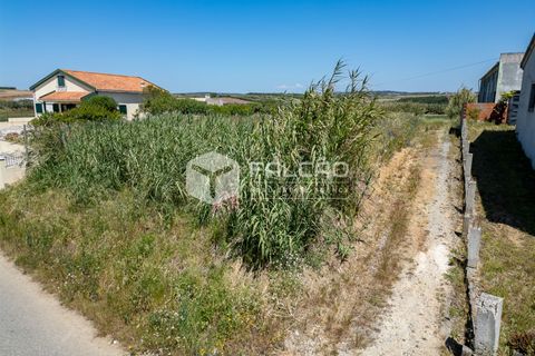 Helårsgrund i Peniche, Leiria, Peniche - € 160.000 | Ref: FR282 - foto 18