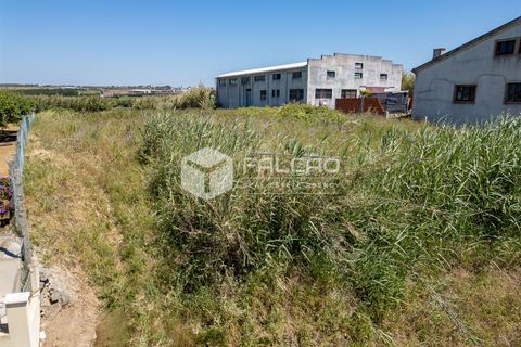 Helårsgrund i Peniche, Leiria, Peniche - € 160.000 | Ref: FR282 - foto 19