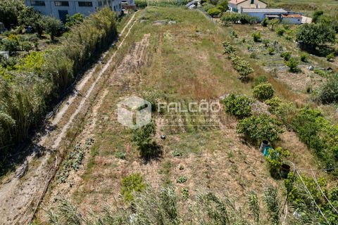 Helårsgrund i Peniche, Leiria, Peniche - € 160.000 | Ref: FR282 - foto 22