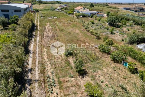 Helårsgrund i Peniche, Leiria, Peniche - € 160.000 | Ref: FR282 - foto 23
