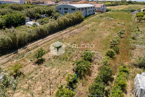 Helårsgrund i Peniche, Leiria, Peniche - € 160.000 | Ref: FR282 - foto 24