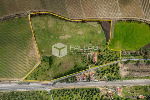 Villa i Santarem, Santarem, Santarem - € 699.000 | Ref: FR601 - foto 3