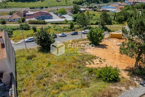 Helårsgrund i Santarem, Santarem, Santarem - € 55.000 | Ref: FR710 - foto 12