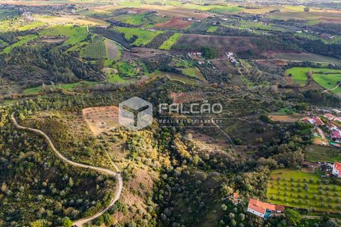 Tomt i Santarem, Santarem, Santarem - € 55 000 | Ref: FR550 - foto 2