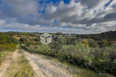 Tomt i Santarem, Santarem, Santarem - € 55 000 | Ref: FR550 - foto 5
