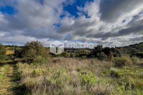 Tomt i Santarem, Santarem, Santarem - € 55 000 | Ref: FR550 - foto 6