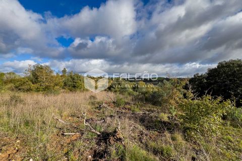 Tomt i Santarem, Santarem, Santarem - € 55 000 | Ref: FR550 - foto 7