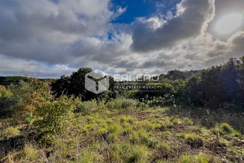 Tomt i Santarem, Santarem, Santarem - € 55 000 | Ref: FR550 - foto 8