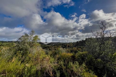 Tomt i Santarem, Santarem, Santarem - € 55 000 | Ref: FR550 - foto 12