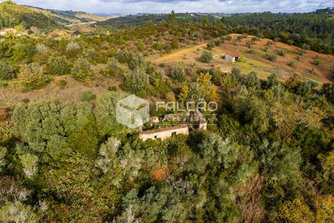 Tomt i Santarem, Santarem, Santarem - € 55 000 | Ref: FR550 - foto 17
