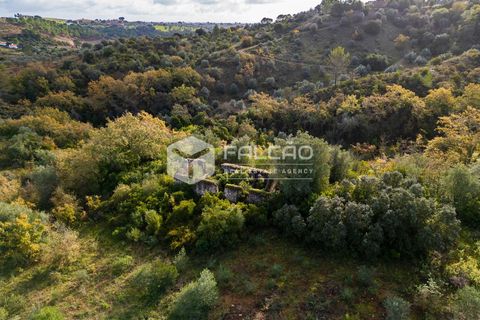 Tomt i Santarem, Santarem, Santarem - € 55 000 | Ref: FR550 - foto 18