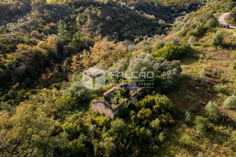 Tomt i Santarem, Santarem, Santarem - € 55 000 | Ref: FR550 - foto 19
