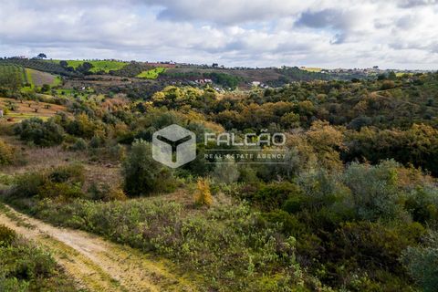 Tomt i Santarem, Santarem, Santarem - € 55 000 | Ref: FR550 - foto 24