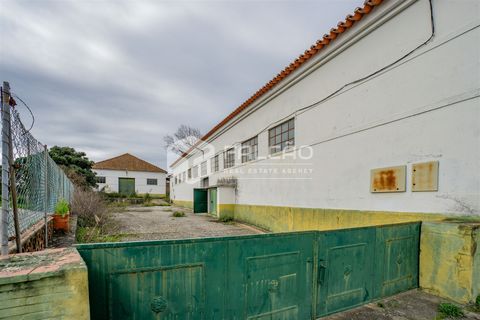 Villa a Alcanena, Santarem, Alcanena - € 205.000 | Ref: FR334 - foto 2