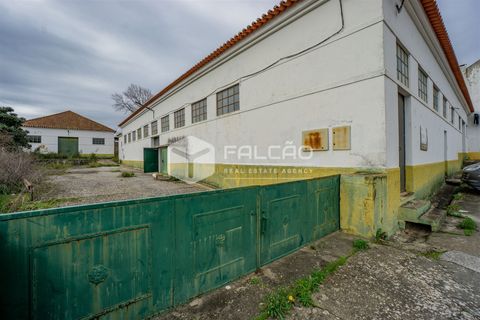 Villa a Alcanena, Santarem, Alcanena - € 205.000 | Ref: FR334 - foto 3