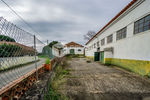 Villa a Alcanena, Santarem, Alcanena - € 205.000 | Ref: FR334 - foto 4