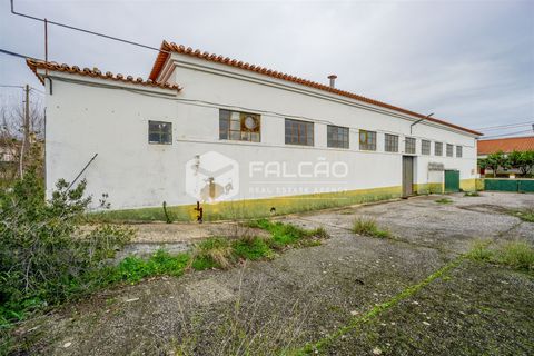 Villa a Alcanena, Santarem, Alcanena - € 205.000 | Ref: FR334 - foto 5
