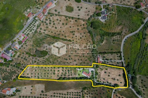 Villa i Santarem, Santarem, Santarem - € 580.000 | Ref: FR331 - foto 2