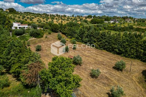Villa i Santarem, Santarem, Santarem - € 580.000 | Ref: FR331 - foto 5