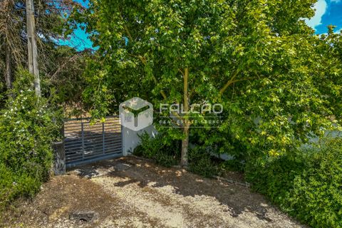 Villa i Santarem, Santarem, Santarem - € 580.000 | Ref: FR331 - foto 6